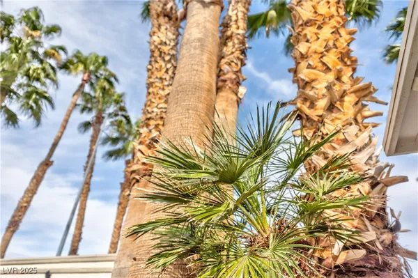 $12,000 | 3784 East Pama Lane, Las Vegas, NV 89120