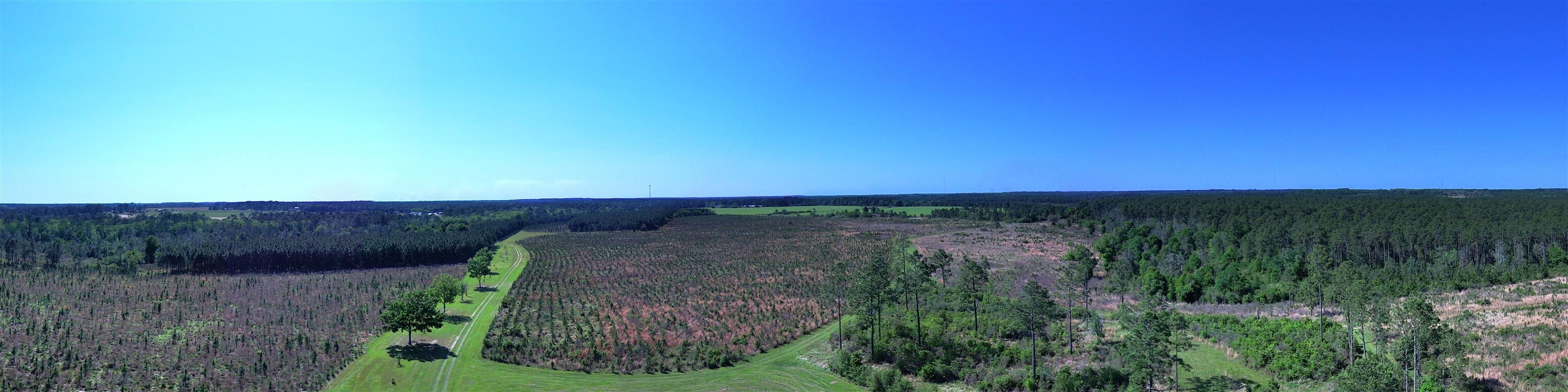 87 County Road 87 Elberta, AL 36530 - Photo 9 of 66