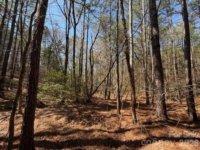12.68-acre 99 Road Blair, SC 29015 - Photo 11 of 45 a view of a forest