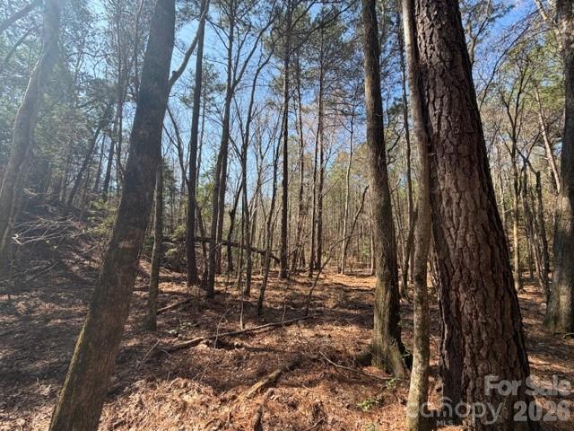 12.68-acre 99 Road Blair, SC 29015 - Photo 12 of 44 a view of outdoor space with lots of trees