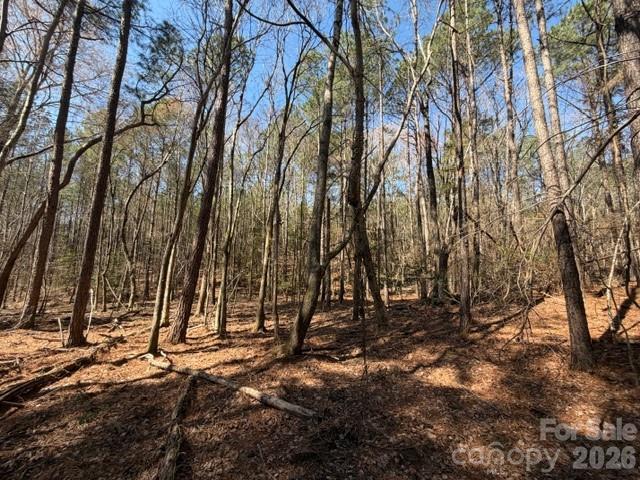 12.68-acre 99 Road Blair, SC 29015 - Photo 14 of 45 a view of backyard space