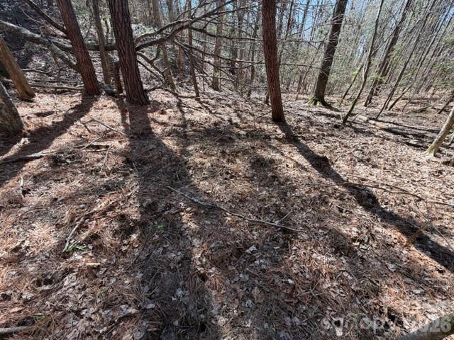 12.68-acre 99 Road Blair, SC 29015 - Photo 15 of 44 a view of covered with green space