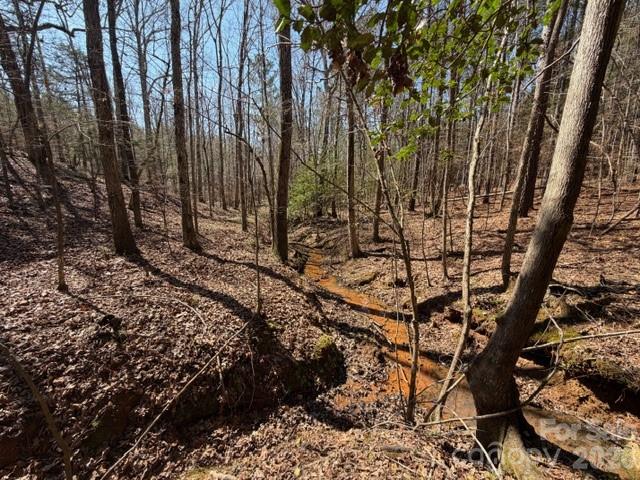 12.68-acre 99 Road Blair, SC 29015 - Photo 17 of 44 a view of a forest with trees
