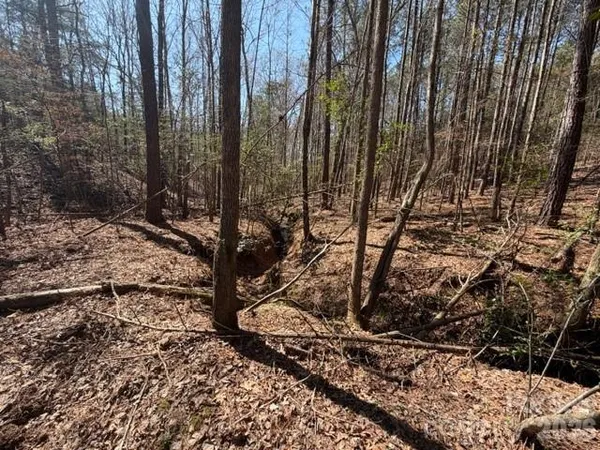 $84,000 | 12.68-acre 99 Road, Blair, SC 29015