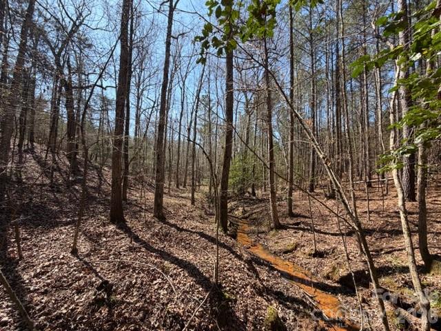 12.68-acre 99 Road Blair, SC 29015 - Photo 18 of 44 a view of a forest filled with trees