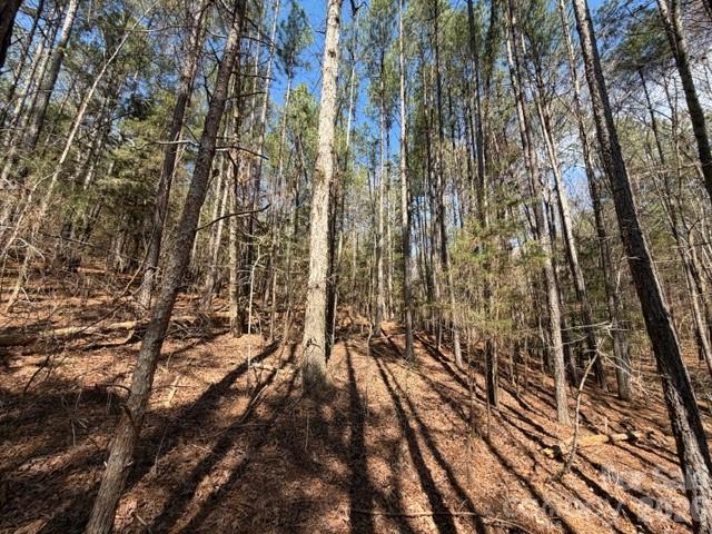 12.68-acre 99 Road Blair, SC 29015 - Photo 21 of 44