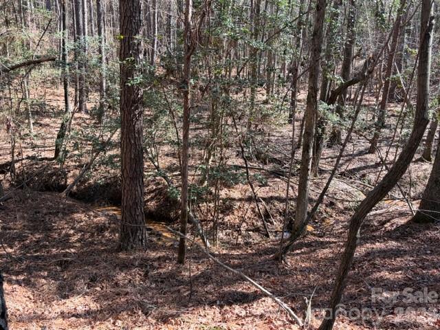 12.68-acre 99 Road Blair, SC 29015 - Photo 22 of 44 a view of a tree