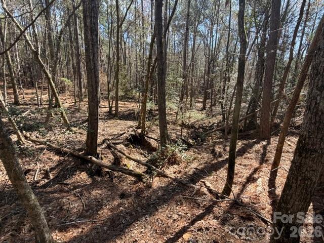 12.68-acre 99 Road Blair, SC 29015 - Photo 24 of 45 a view of a forest with trees