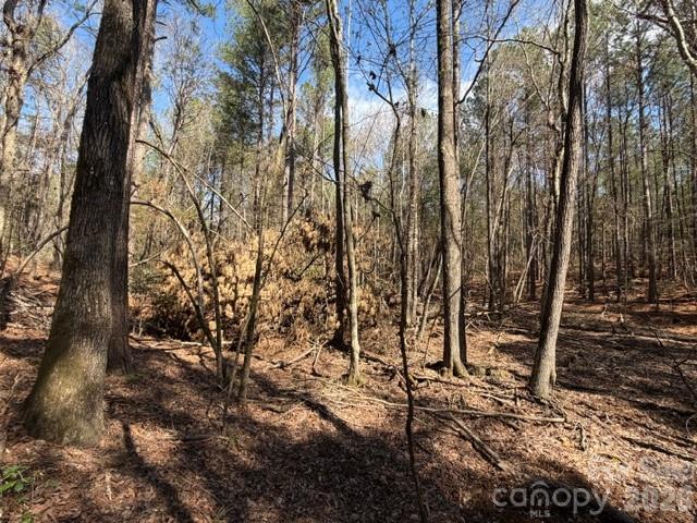 12.68-acre 99 Road Blair, SC 29015 - Photo 25 of 45 a view of a forest with lots of trees