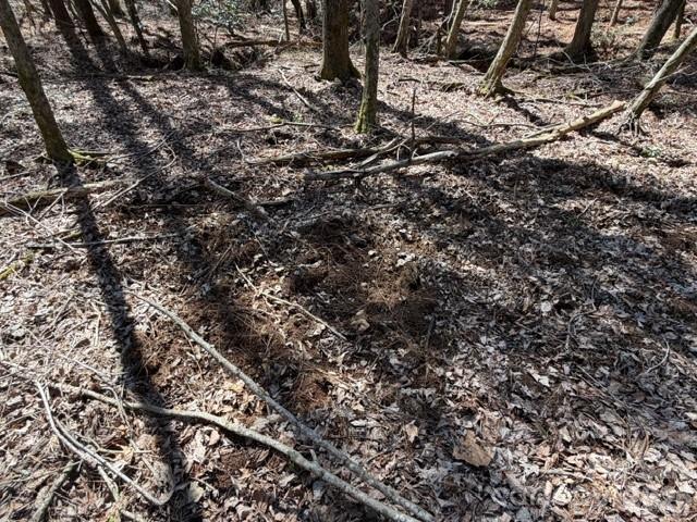 12.68-acre 99 Road Blair, SC 29015 - Photo 26 of 44 a view of a field