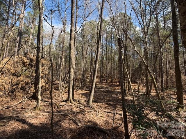 12.68-acre 99 Road Blair, SC 29015 - Photo 26 of 45 a backyard of a house with lots of trees