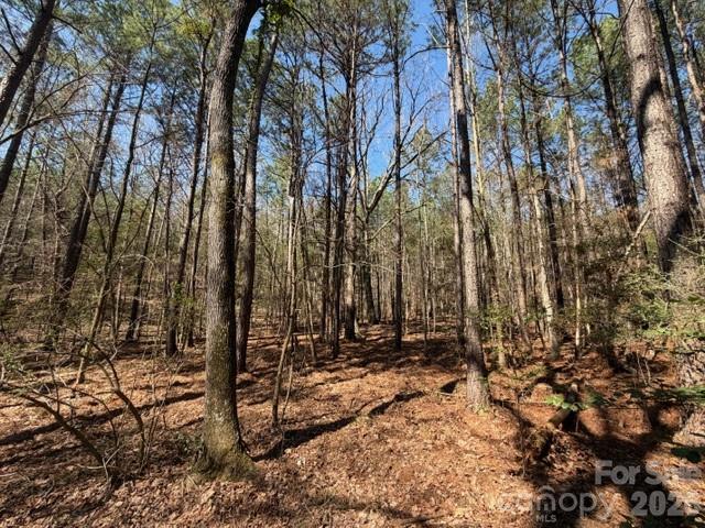 12.68-acre 99 Road Blair, SC 29015 - Photo 28 of 45 a view of outdoor space with trees