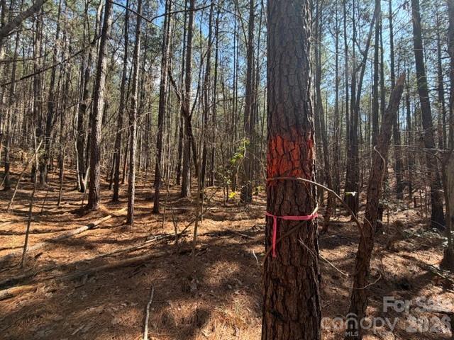 12.68-acre 99 Road Blair, SC 29015 - Photo 29 of 45 a backyard of a house with lots of green space and outdoor seating