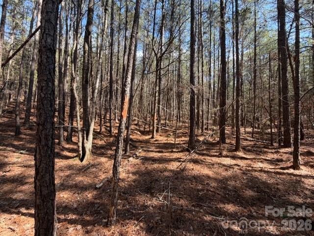 12.68-acre 99 Road Blair, SC 29015 - Photo 30 of 45 a view of outdoor space with street view