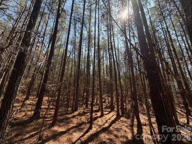 12.68-acre 99 Road Blair, SC 29015 - Photo 30 of 44 a view of forest