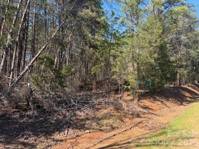 12.68-acre 99 Road Blair, SC 29015 - Photo 3 of 44 a view of a forest with trees