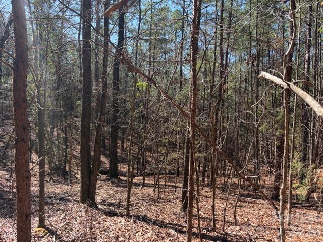 12.68-acre 99 Road Blair, SC 29015 - Photo 31 of 44 a view of a forest filled with trees