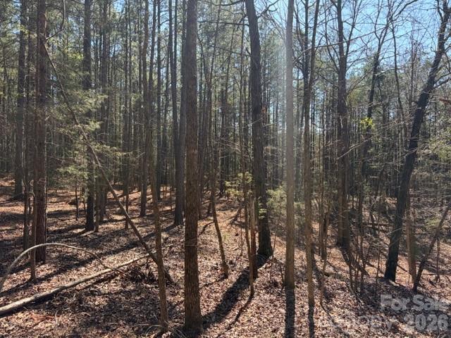 12.68-acre 99 Road Blair, SC 29015 - Photo 32 of 44 a view of a forest with trees