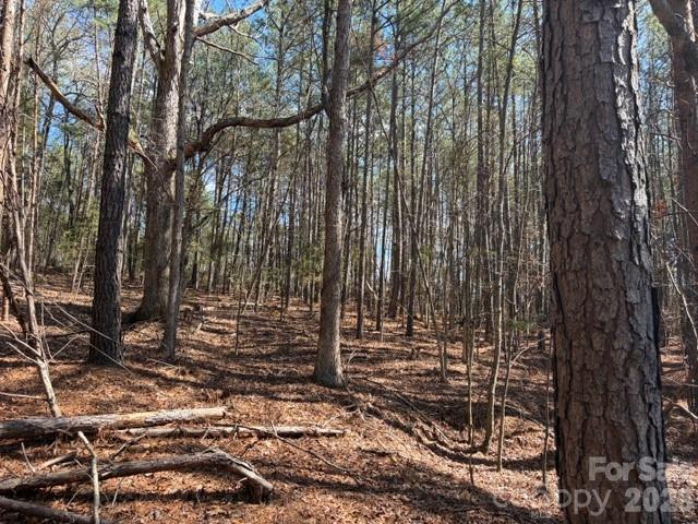 12.68-acre 99 Road Blair, SC 29015 - Photo 33 of 44 a view of a backyard with trees