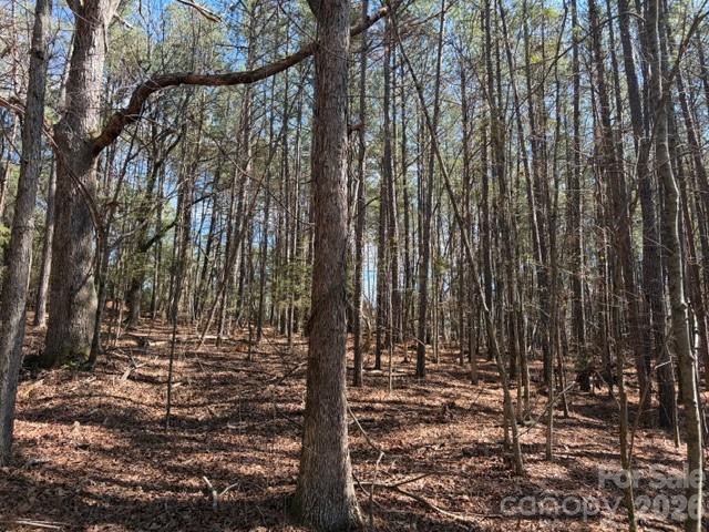 12.68-acre 99 Road Blair, SC 29015 - Photo 34 of 44 a view of outdoor space with a street