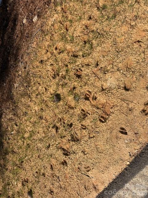 12.68-acre 99 Road Blair, SC 29015 - Photo 40 of 44