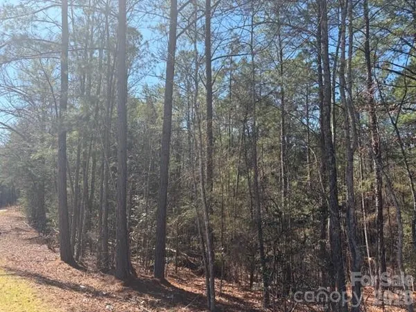 $84,000 | 12.68-acre 99 Road, Blair, SC 29015