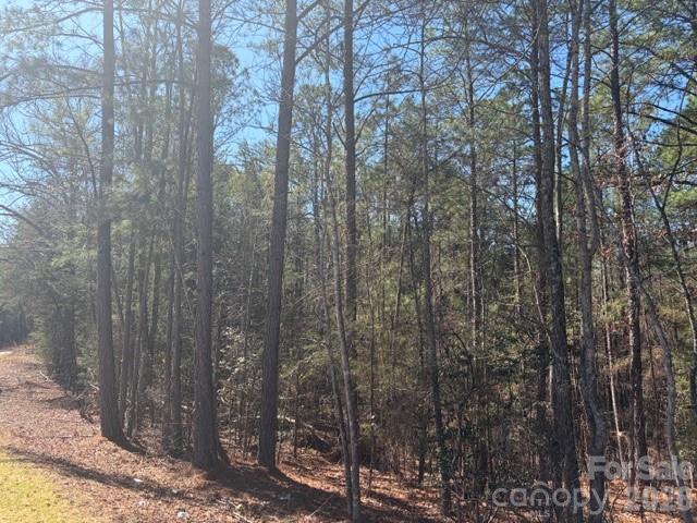 12.68-acre 99 Road Blair, SC 29015 - Photo 40 of 45 a view of a forest