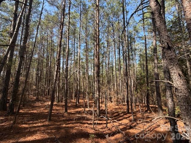 12.68-acre 99 Road Blair, SC 29015 - Photo 6 of 44 a view of a yard with plants and trees