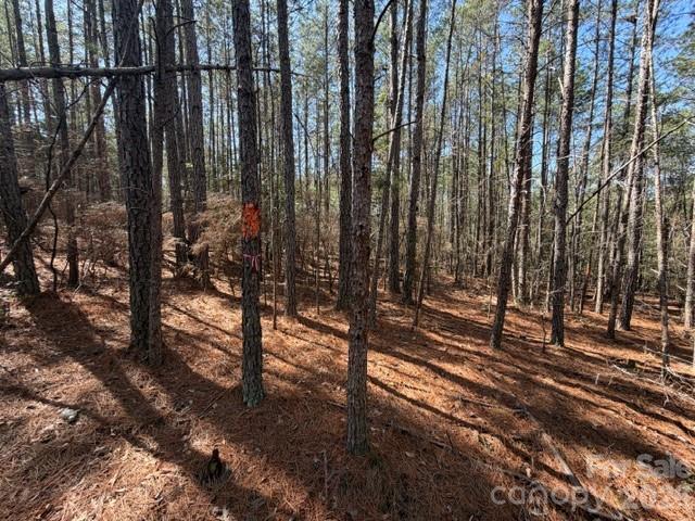 12.68-acre 99 Road Blair, SC 29015 - Photo 6 of 45 a view of a backyard of the house