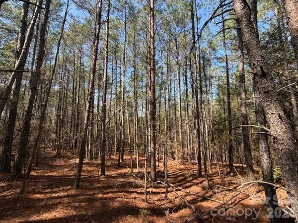 $84,000 | 12.68-acre 99 Road, Blair, SC 29015