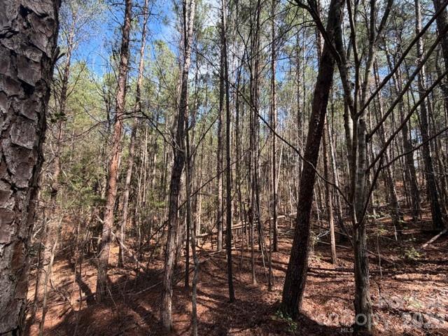 12.68-acre 99 Road Blair, SC 29015 - Photo 7 of 44 a view of forest