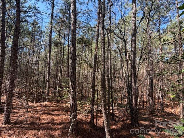 12.68-acre 99 Road Blair, SC 29015 - Photo 8 of 44 a view of outdoor space with lots of trees