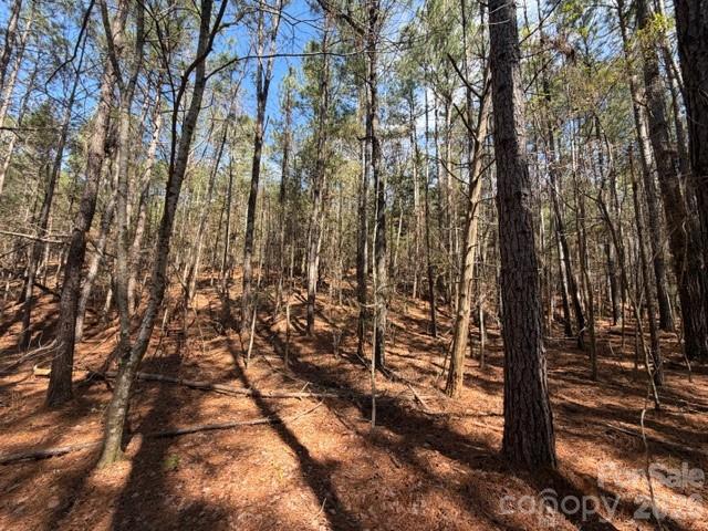 12.68-acre 99 Road Blair, SC 29015 - Photo 9 of 44 a view of outdoor space