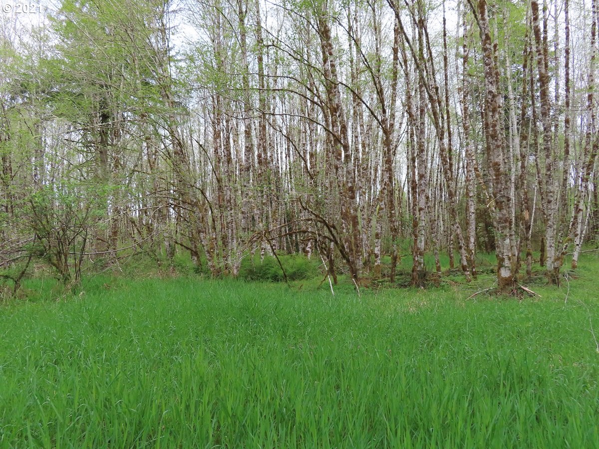 Independence Road Rochester, WA 98579 - Photo 11 of 32