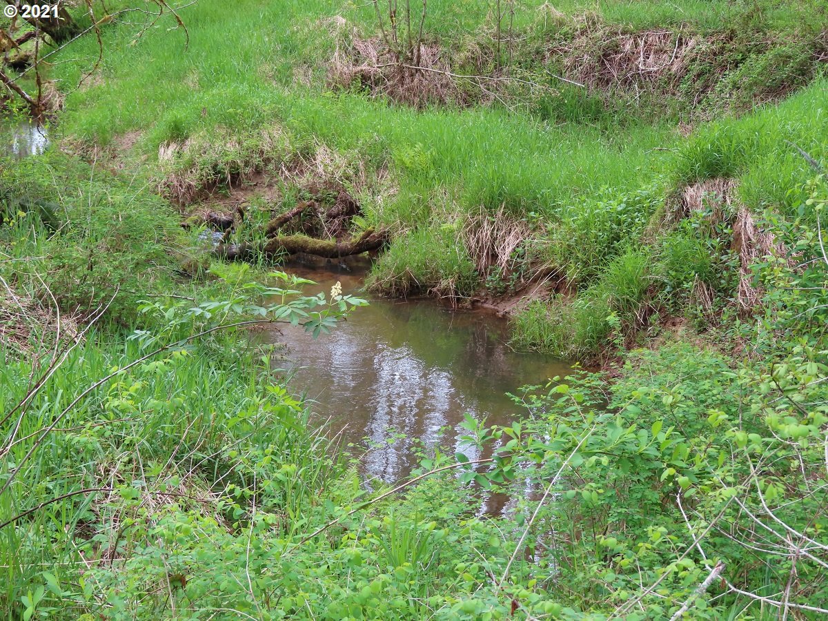 Independence Road Rochester, WA 98579 - Photo 24 of 32