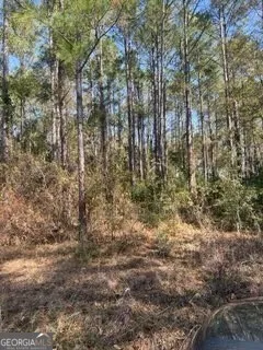 $39,900 | 241 Valhalla Road South, Unit LOT 4, Cordele, GA 31015