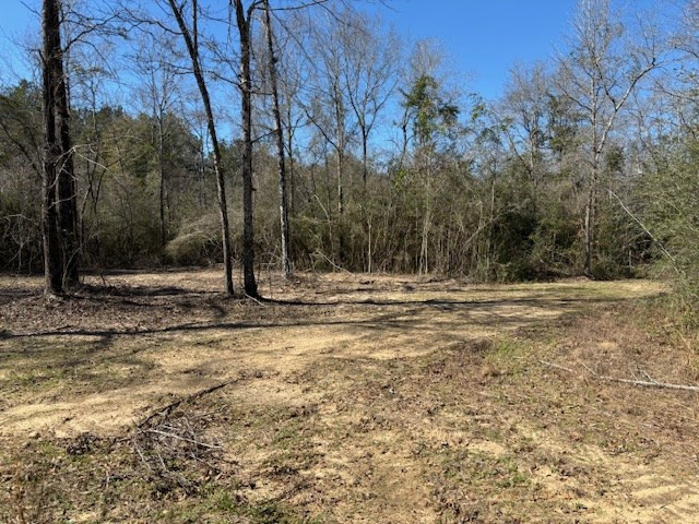 Lot #6 Jessie Stogner Road Sandy Hook, MS 39478 - Photo 3 of 6 Photo 3