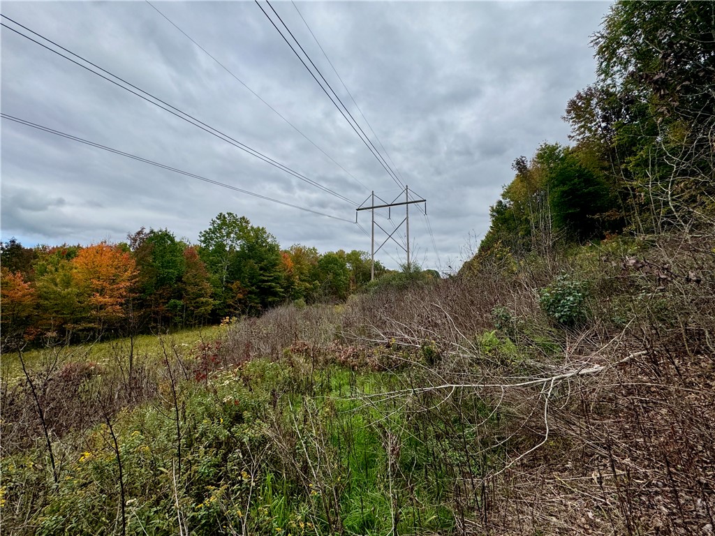 Gallop Hill Road Walton, NY 13856 - Photo 12 of 48 Gallery Image 12