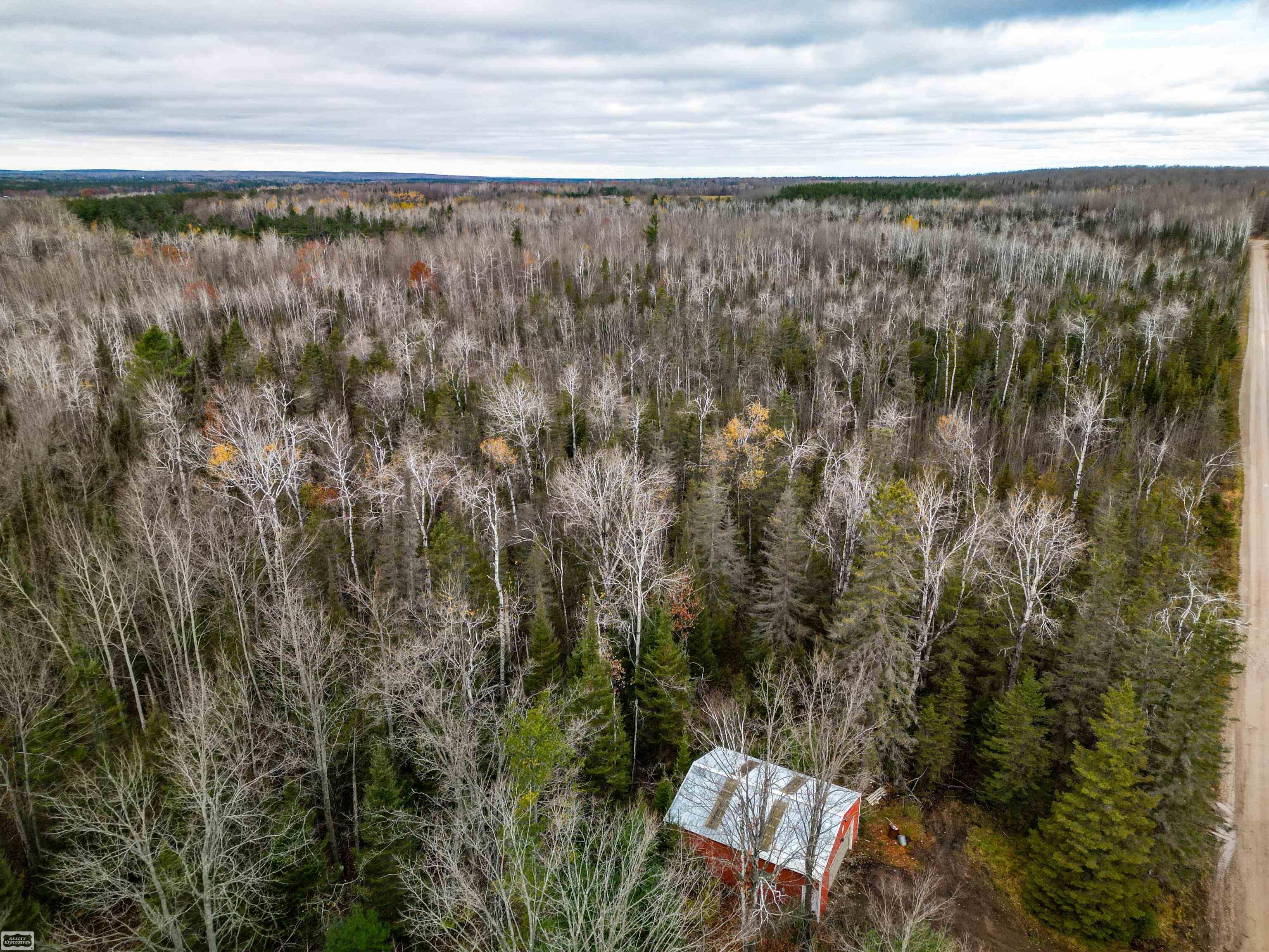 6350 East Tower Road Onaway, MI 49765 - Photo 1 of 31 Gallery Image 1