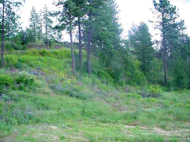 0 East Silver Spurs Lane Spokane, WA 99217 - Photo 3 of 6