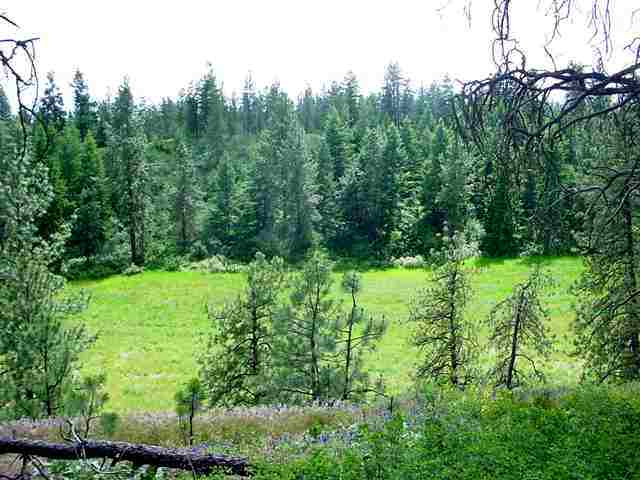 0 East Silver Spurs Lane Spokane, WA 99217 - Photo 4 of 6