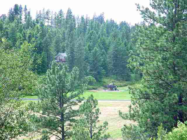 0 East Silver Spurs Lane Spokane, WA 99217 - Photo 5 of 6