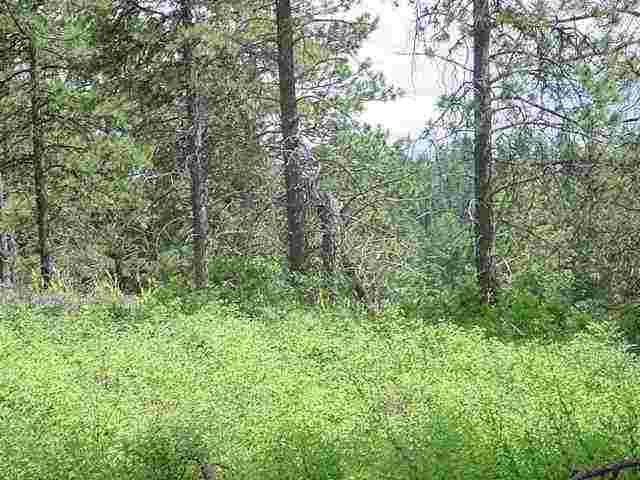 0 East Silver Spurs Lane Spokane, WA 99217 - Photo 6 of 6