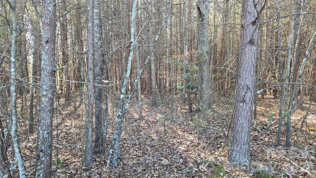 $1,000,000 | 591 Landrum Road, Tryon, NC 28782