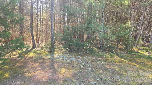 $1,000,000 | 591 Landrum Road, Tryon, NC 28782