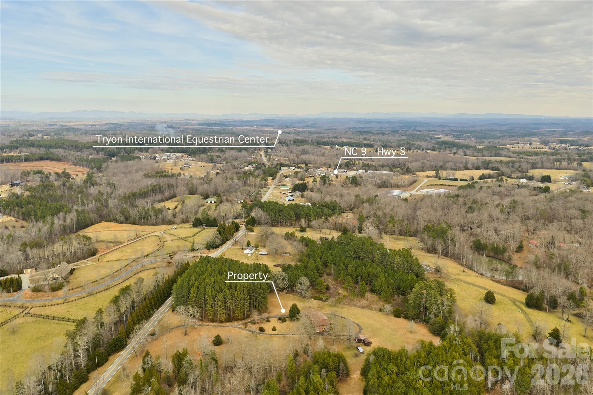 591 Landrum Road Tryon, NC 28782 - Photo 10 of 48 an aerial view of residential houses with outdoor space