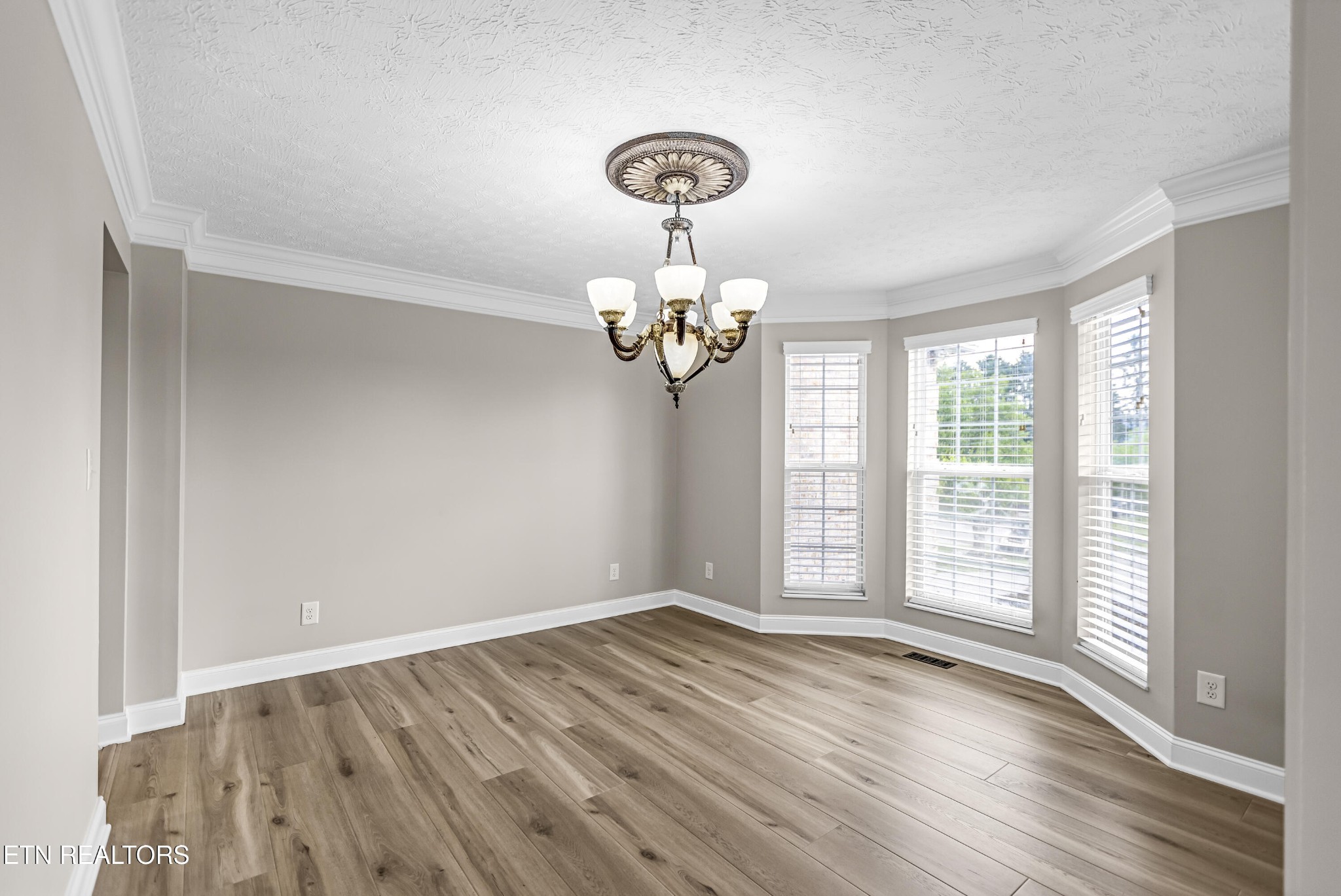 117 Mayview Drive Powell, TN 37849 - Photo 14 of 56 a view of livingroom with window