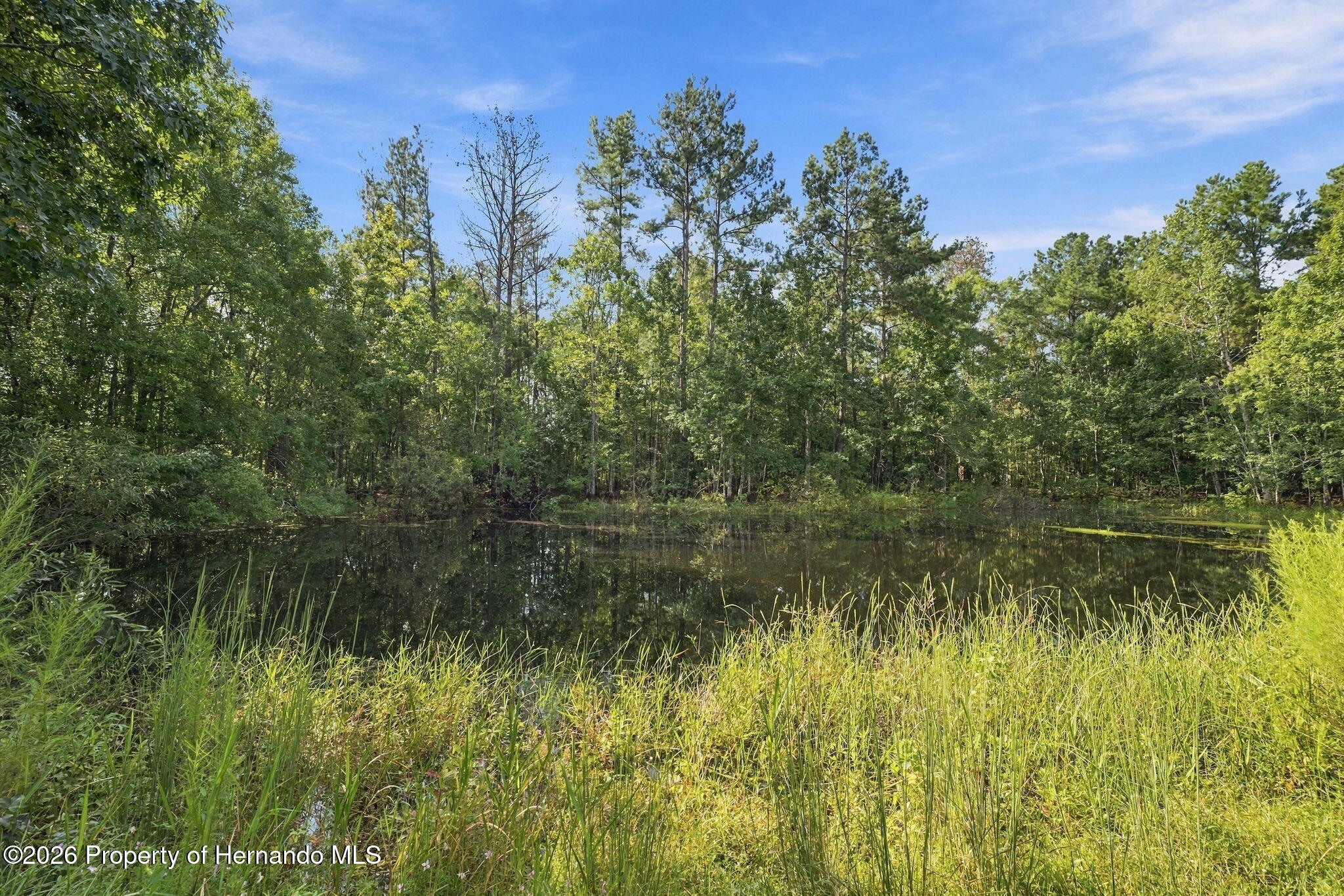 880 Emerson Road Brooksville, FL 34601 - Photo 8 of 63 Gallery Image 8