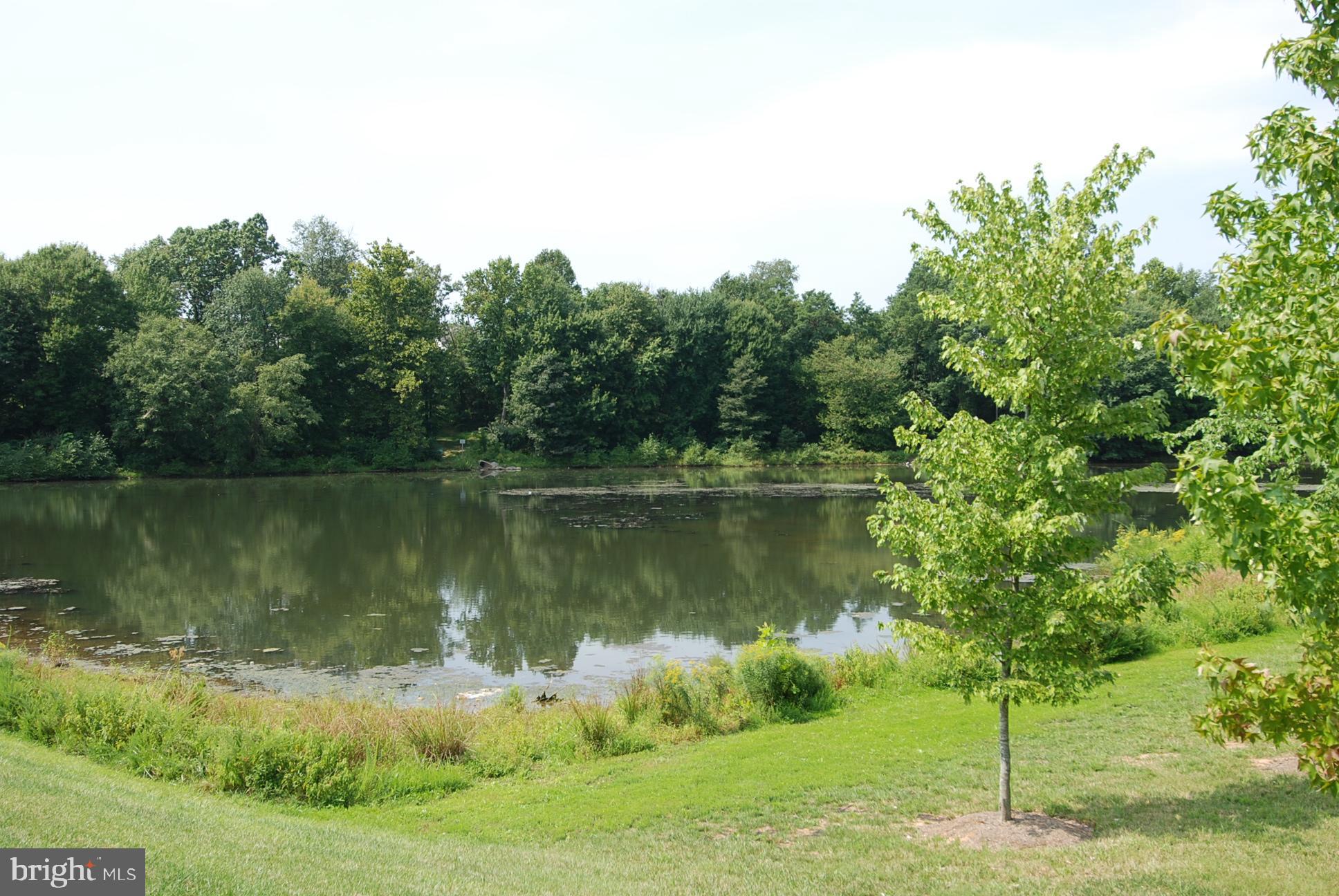 520 Kersten Street Gaithersburg, MD 20878 - Photo 56 of 63 a view of a lake in a forest
