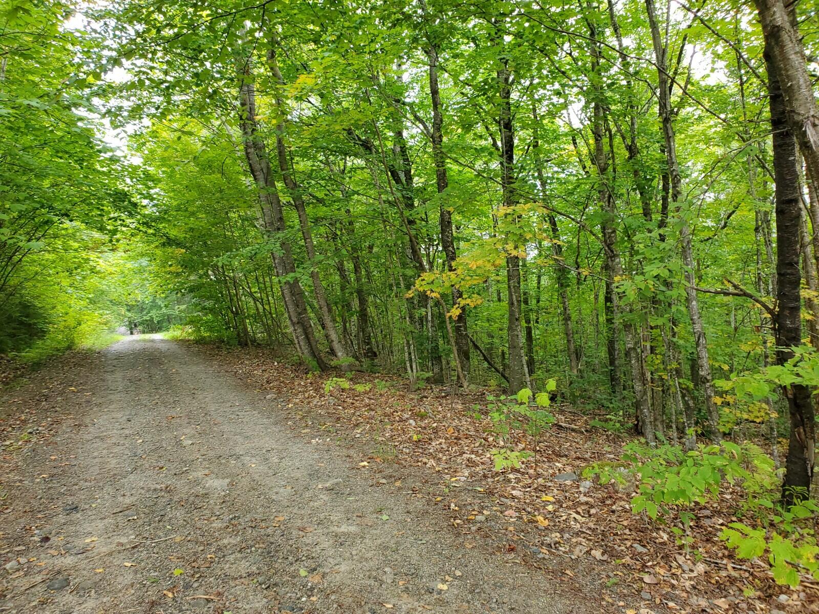 Off Vista View Road Lakeville, ME 04487 - Photo 5 of 10 20210915_115230